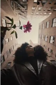 Poster do filme The Young Lordes Collective