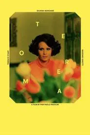 Theorem movie poster