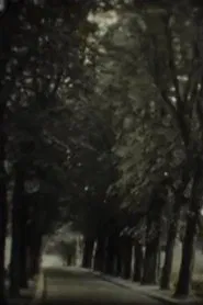 In Search of the Temple movie poster