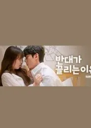Why Opposites Attract 2 tv show poster