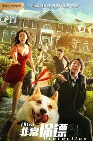 Ultra Protection movie poster