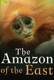 The Amazon of the East tv show poster