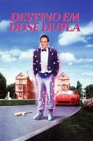Poster do filme Destino em Dose Dupla