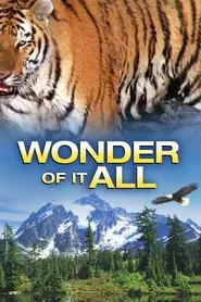 Wonder of It All movie poster