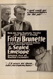 The Sealed Envelope movie poster