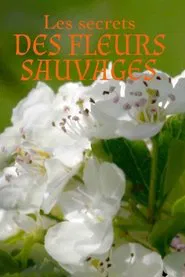 Les Secrets des fleurs sauvages tv show poster
