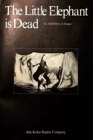 The Little Elephant is Dead / An Elephant Calf Is Dead movie poster