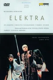 Poster do filme Elektra