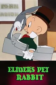 Poster do filme Elmer's Pet Rabbit