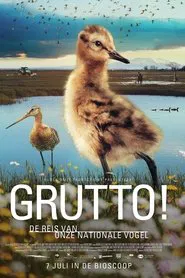 Grutto! De reis van onze nationale vogel movie poster