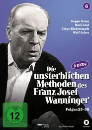 Die unsterblichen Methoden des Franz Josef Wanninger tv show poster