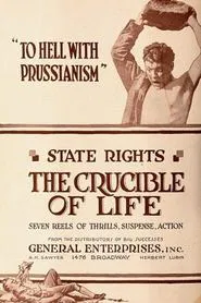 Poster do filme The Crucible of Life