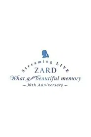 What a beautiful memory ~30th anniversary movie poster