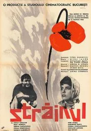 The Stranger movie poster
