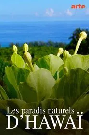Hawaiis versteckte Paradiese movie poster