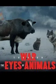 War Through the Eyes of Animals movie poster