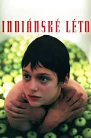Indian Summer movie poster