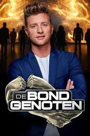 De Bondgenoten tv show poster