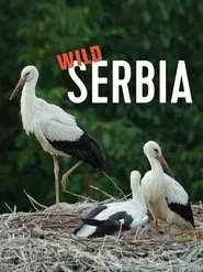 Wild Serbia movie poster