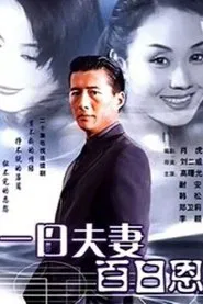一日夫妻百日恩 tv show poster
