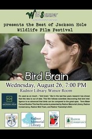 Bird Brain movie poster