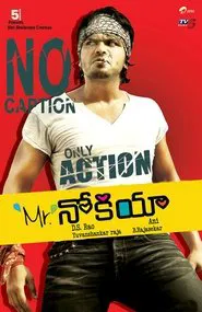 Poster do filme Mr. Nookayya