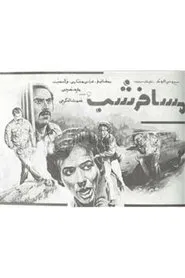 Poster do filme The Night Traveller