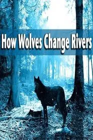 How Wolves Change Rivers movie poster