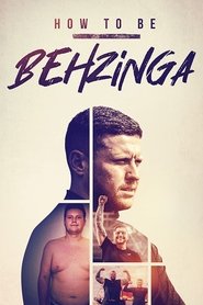 How to Be Behzinga tv show poster