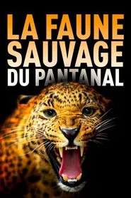 Among Big Cats and Anteaters - With Lydia Möcklinghoff in Brazil's wildlife movie poster
