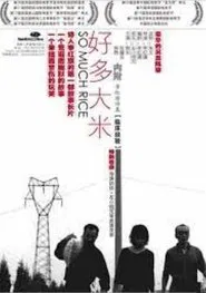 So Much Rice movie poster