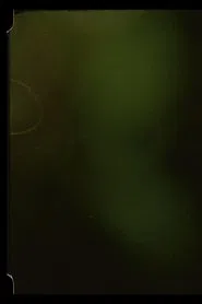 Poster do filme Summer Light For Tula