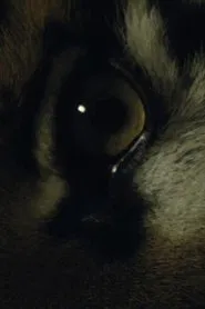 The Haunted movie poster