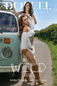 Poster do filme Wild