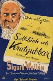 Poster do filme Saltstänk och krutgubbar