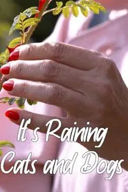 It's Raining Cats and Dogs movie poster