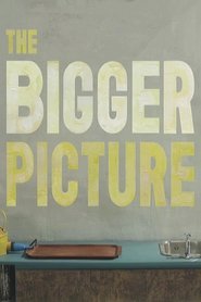 The Bigger Picture movie poster