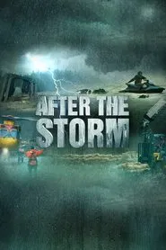 After the Storm tv show poster