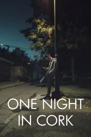 One Night in Cork movie poster