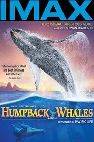 Poster do filme Humpback Whales