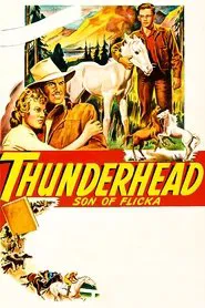 Thunderhead: Son of Flicka movie poster