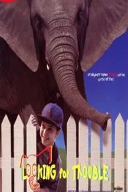 Poster do filme Looking for Trouble