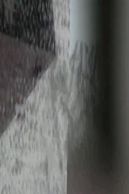 Snows of Reduction movie poster