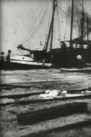 Bird's-Eye View of Dock Front, Galveston movie poster