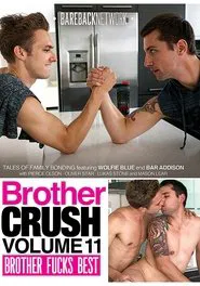 Brother Crush 11: Brother Fucks Best movie poster