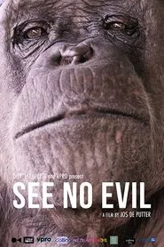 See No Evil movie poster