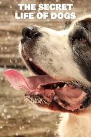 Poster da série The Secret Life of Dogs
