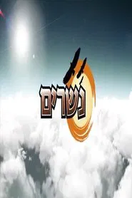 Eagles tv show poster