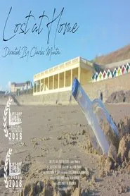 Lost at Home movie poster