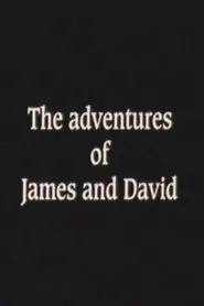 The Adventures of James and David movie poster